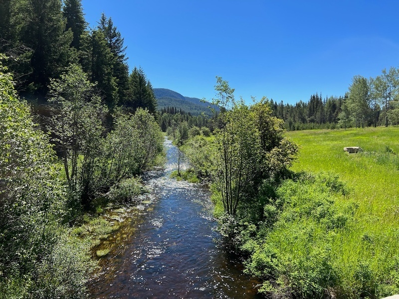 Building Your Off-Grid Dream Home: What You Need to Know About Water, Power, and Waste Management, 