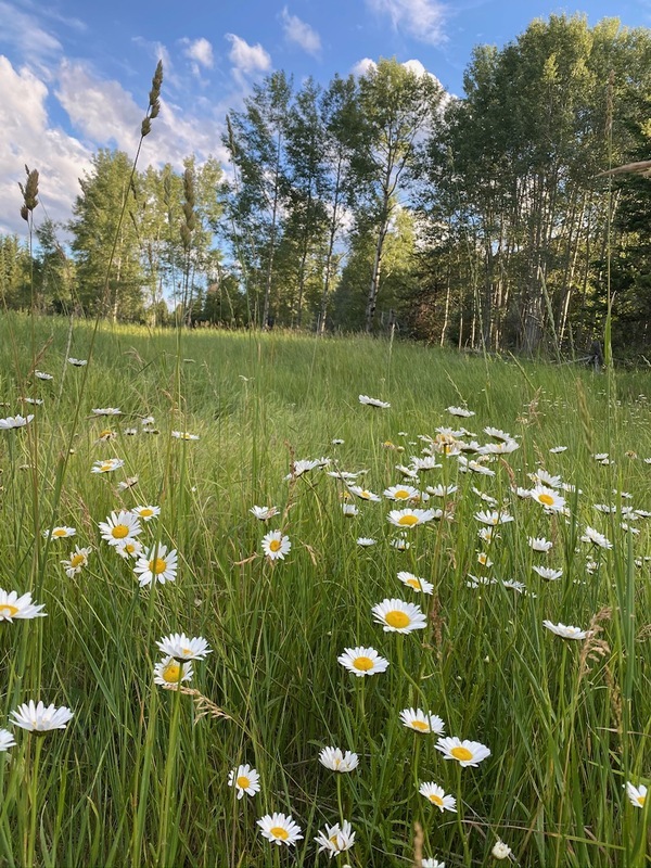 Why Buying Land in British Columbia is a Dream Investment, 