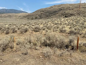 Fence, sagebrush, and a hill on a property in Walhachin