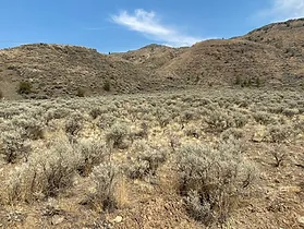Sagebrush, dirt, and grass in front of hills on a property in Walhachin